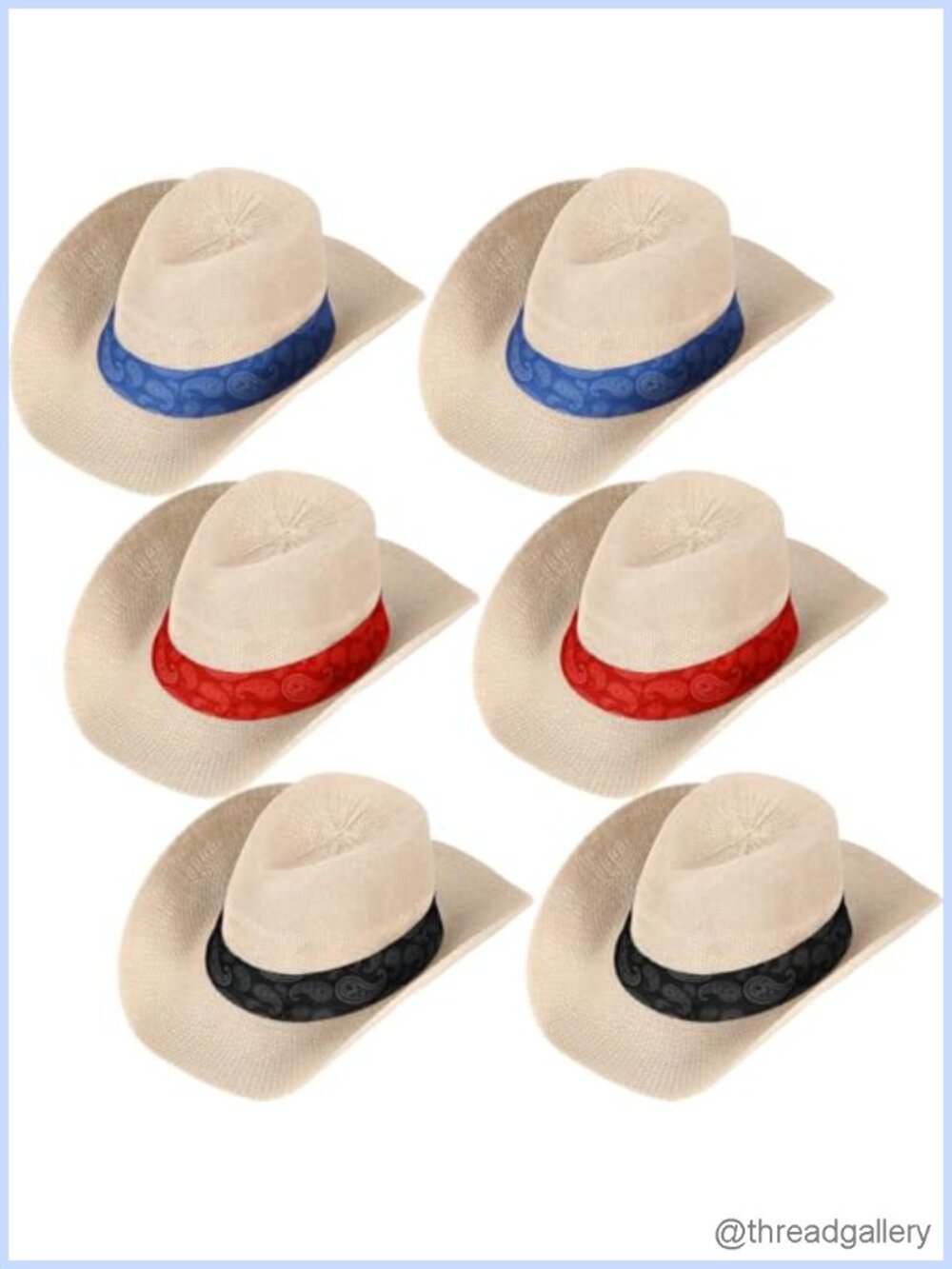 Paisley Straw Cowboy Hats Set of 6 Adult Unisex Western Party